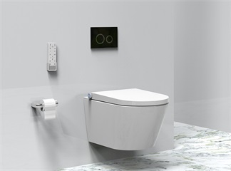 in-wall concealed cistern