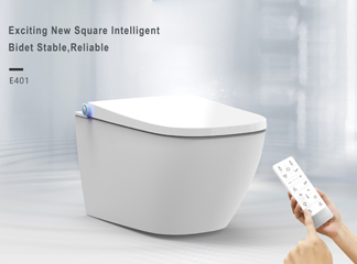 Intelligent Shower toilet
