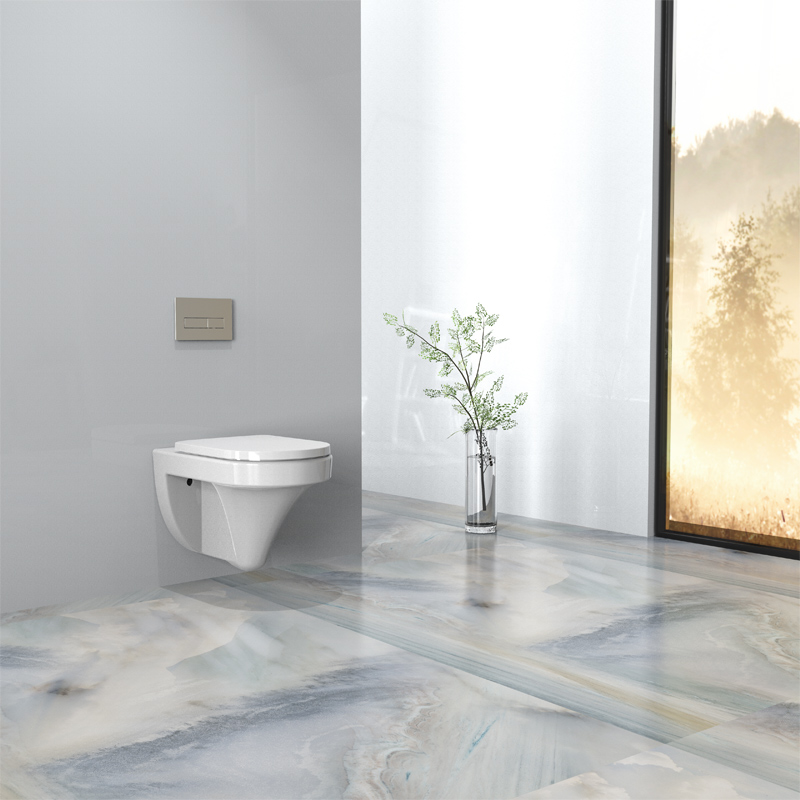 ceramic toilet bowl