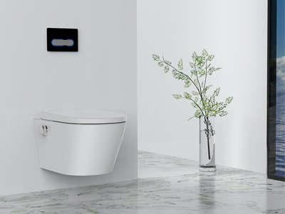 Round Intelligent Toilet