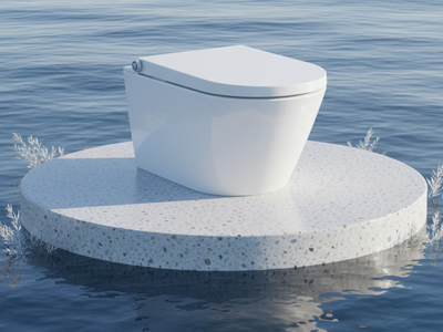 smart toilet bulk