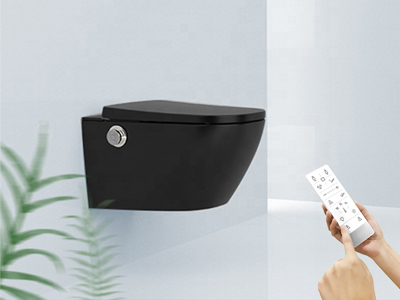 luxury Intelligent Toilet