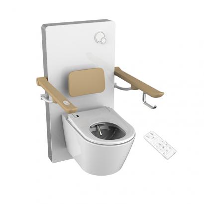 Toilet lifter