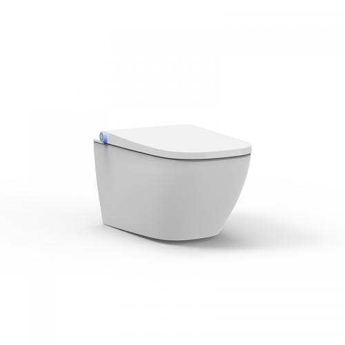 intelligent bidet toilet seat