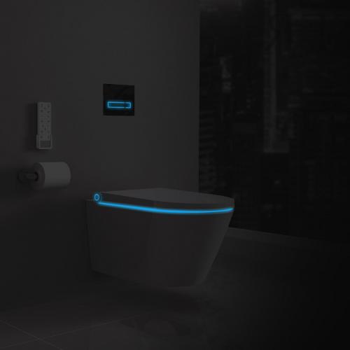 Electric bidet seat douche WC