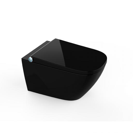 electric bidet toilet seat