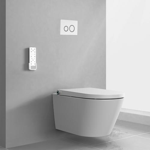 wall mounted WC unit