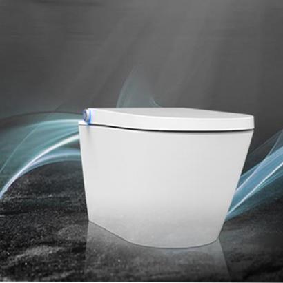 Electronic bidet seat