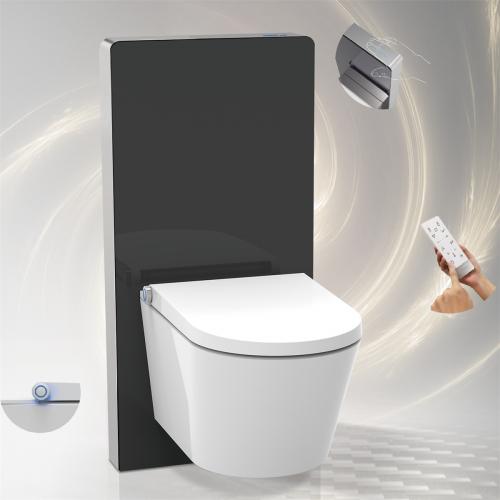 Black and white smart toilet bowl