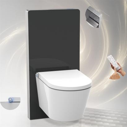 Black and white smart toilet bowl