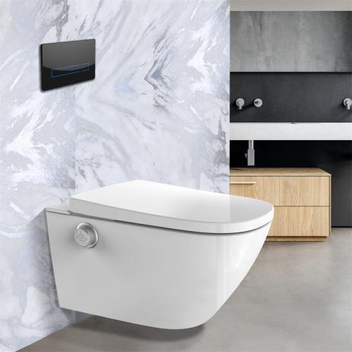 CE Certification Smart Toilet