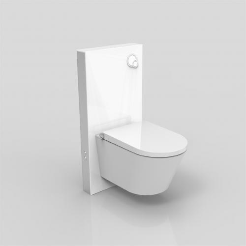 cheap smart toilet