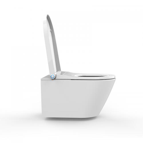 Integrated smart bidet toilet