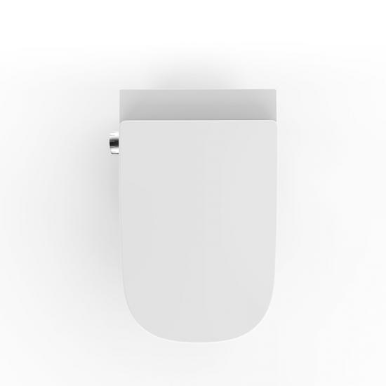 OEM Japanese bidet toilet