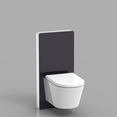 wall hung concealed cistern