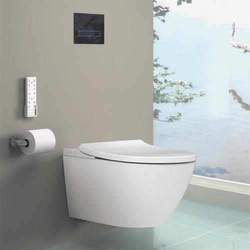 Personal care smart toilet