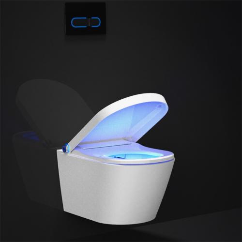  bidet toilet seat