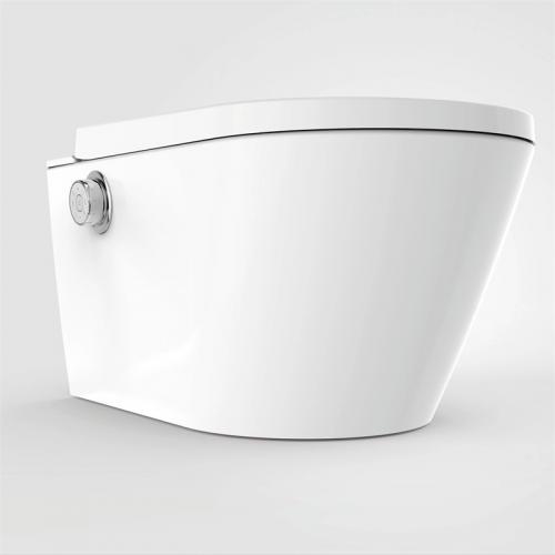 bidet toilet seat