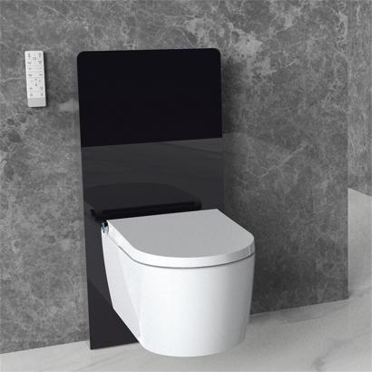 Smart bidet seat douche WC