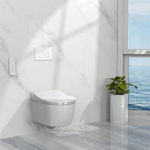 bidet shower  toilet seat attachment