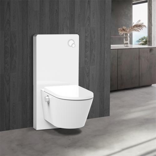 bidet toilet seat