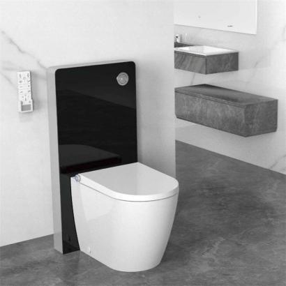 Smart bidet seat douche WC