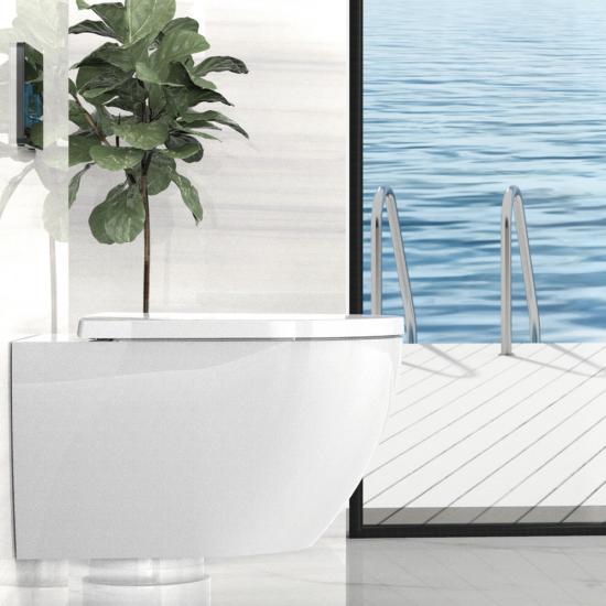 Ceramic toilet with conceal cistern