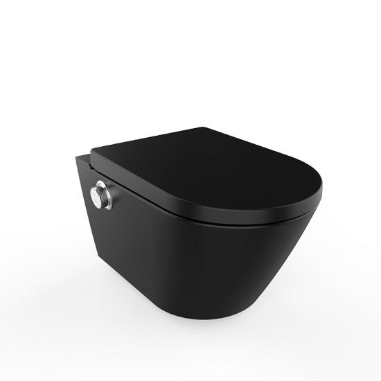 smart toilet