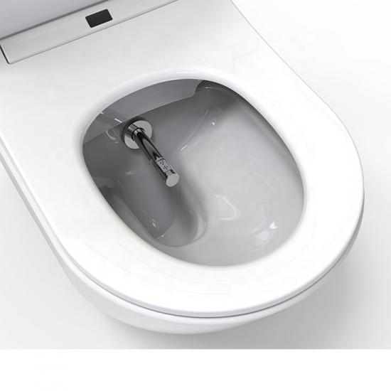 smart toilet