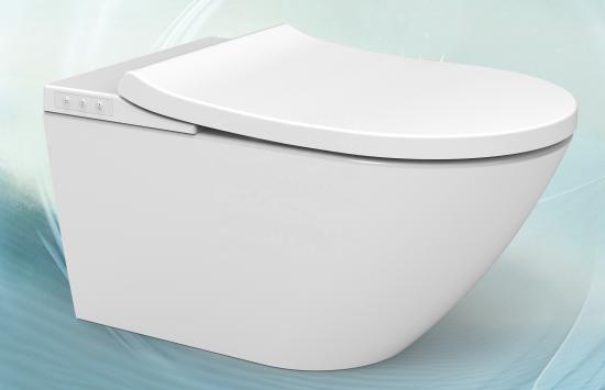 smart toilet