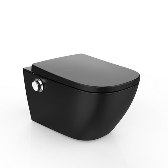 smart toilet