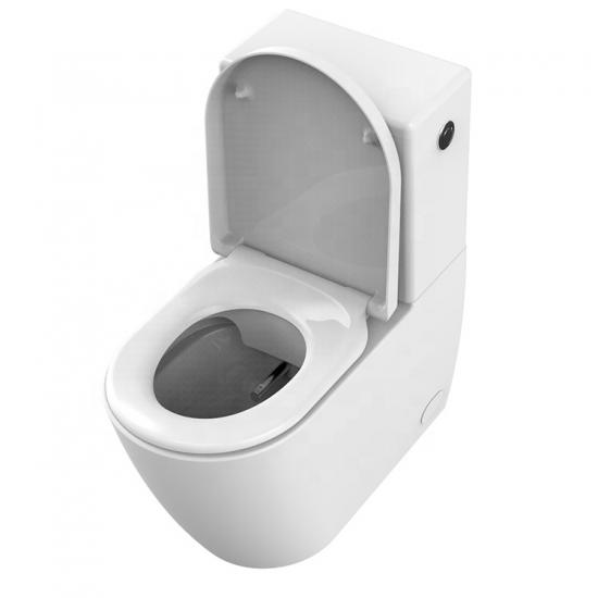 smart toilet