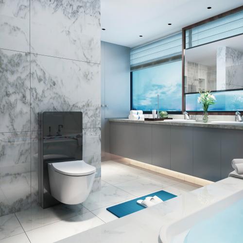 smart toilet