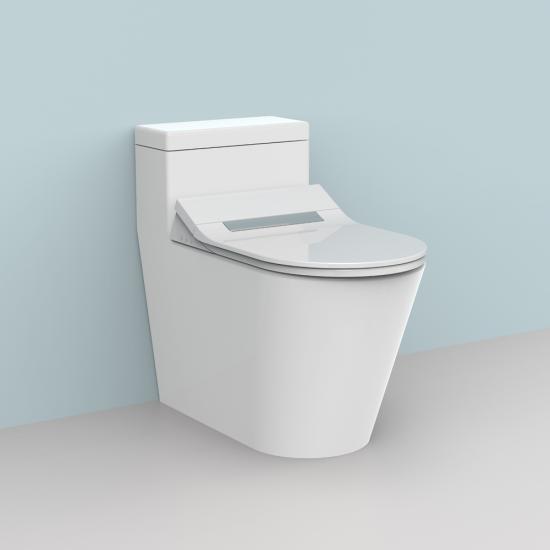 smart toilet seat