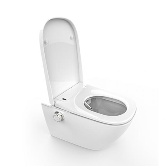 Popular Smart Toilet