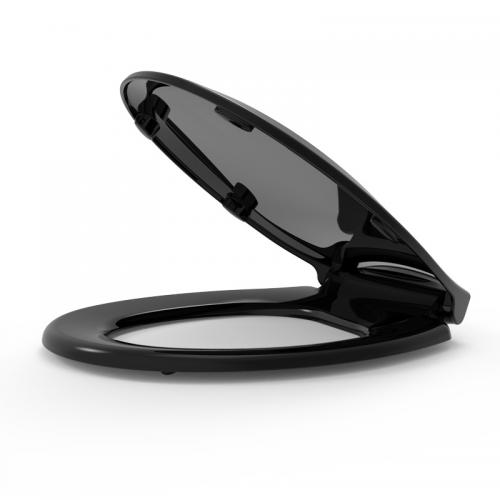 black toilet seat