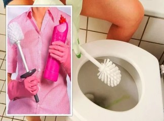 The Most Important Places You Might Miss When Using a Toilet Brush