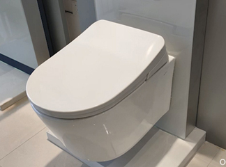 How to Remove a Smart Toilet Seat - Oceanwell Guide