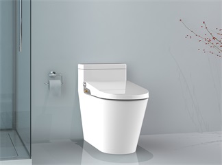 How to Get the Most Out of Your New Electronic Bidet
