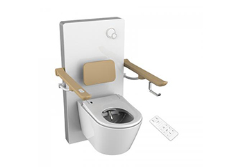 Oceanwell Electric Toilet Lifter