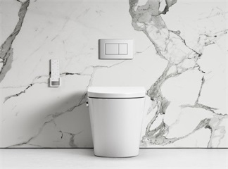 Integrated Intelligent Bidet vs. Bidet Shower: Which One is Right for Your Bathroom?