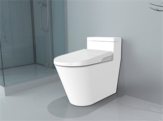 Four Mistakes to Avoid When Buying an Electric Bidet Seat