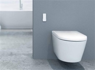 The Smart Toilet with Remote Control Function