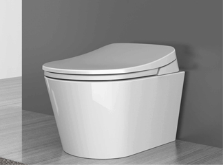 Smart Toilet Seats: Functions, Value, Definitions & Usage Guide