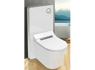 What is a Dual Flush Toilet?