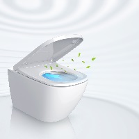 5 Health And Financial Benefits Of Using A Bidet Toilet