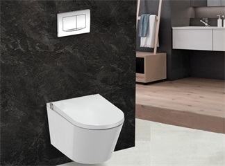 Elevate Your Bathroom Experience with Our Intelligent Bidet Seat