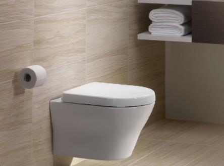 Pros and Cons of Concealed Cisterns