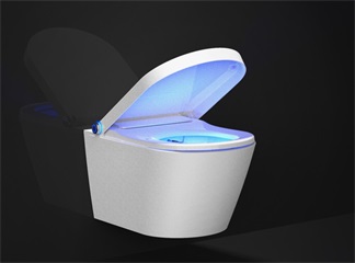 Electronic Bidet: Energy Saving Mode