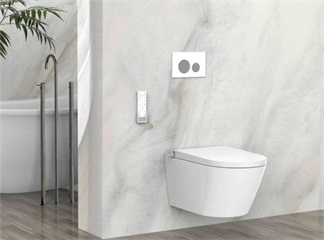 A Global Glossary of Smart Toilets: From Major Languages to Minor Tongues